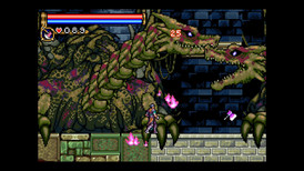 Castlevania Advance Collection screenshot 2